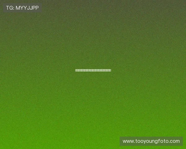 电影黑梦：在光影的迷宫中，我们迷失与重塑的灵魂